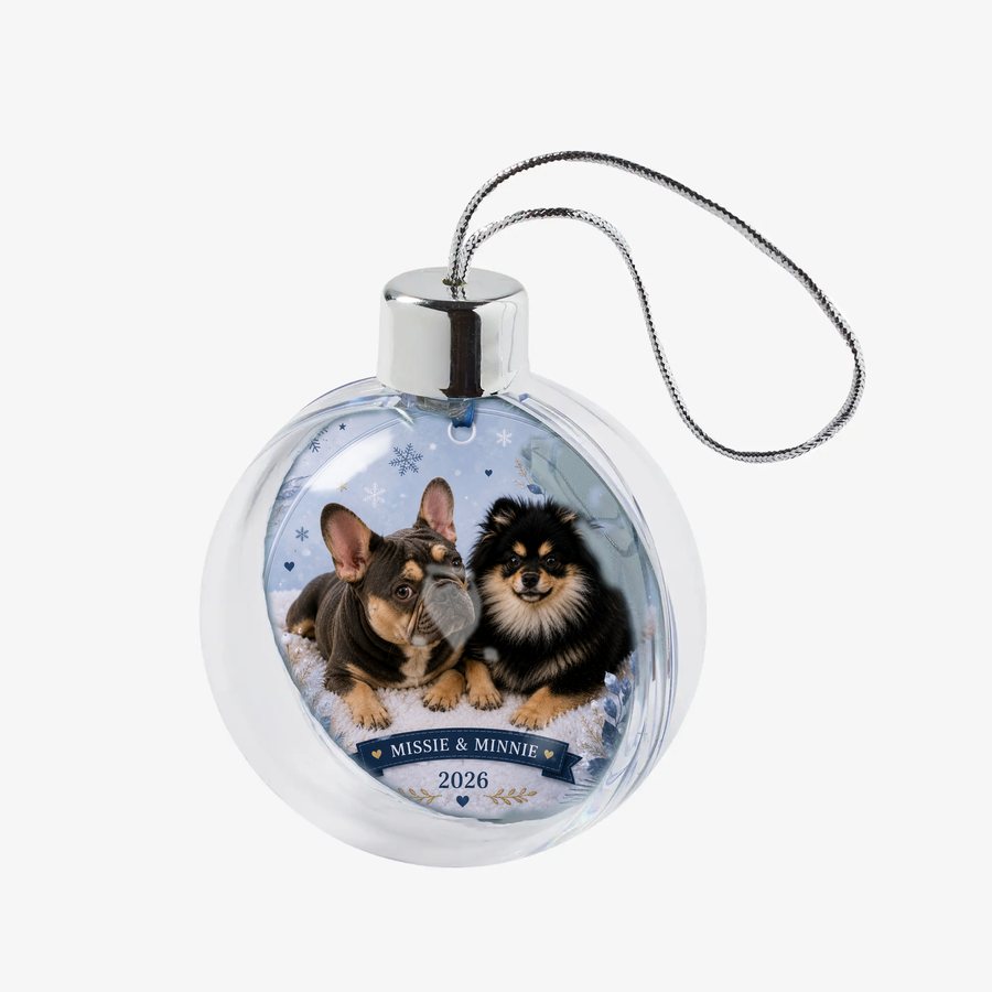 Clear acrylic bauble on a white background, printed with a French bulldog and a Pomeranian on an icy blue snowflake design, a navy banner reading Missie and Minnie, and the year 2026